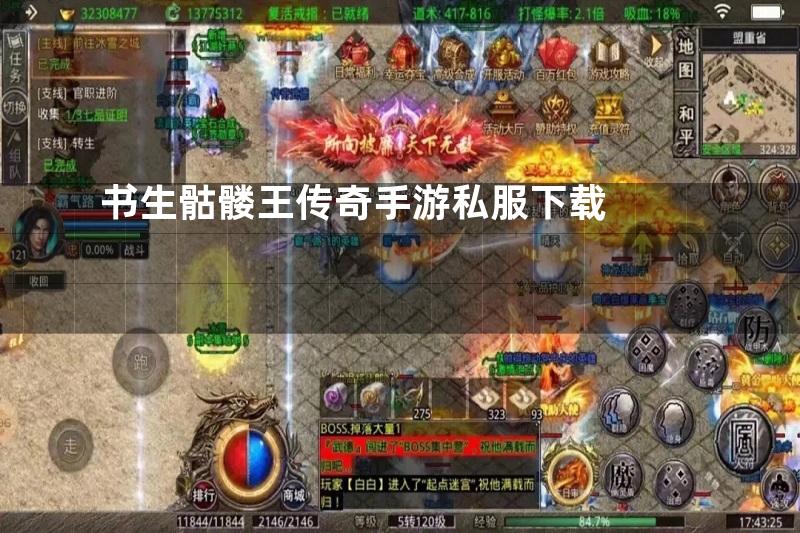 书生骷髅王传奇手游私服下载