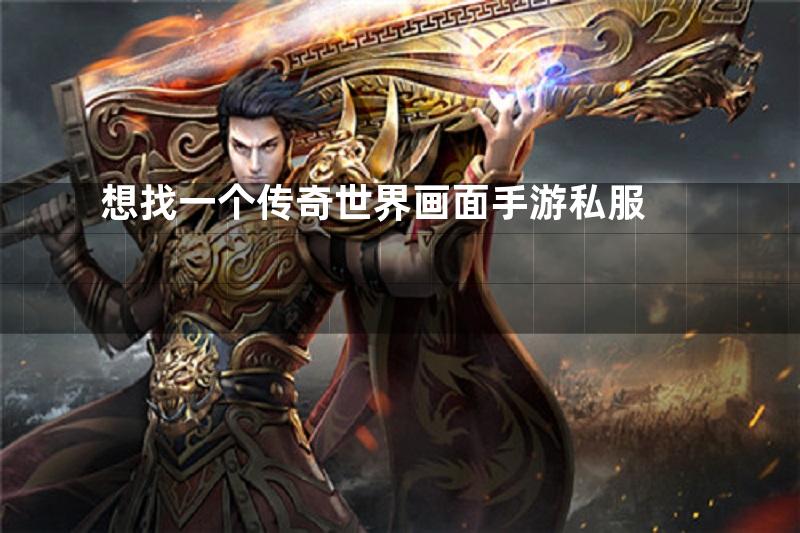 想找一个传奇世界画面手游私服