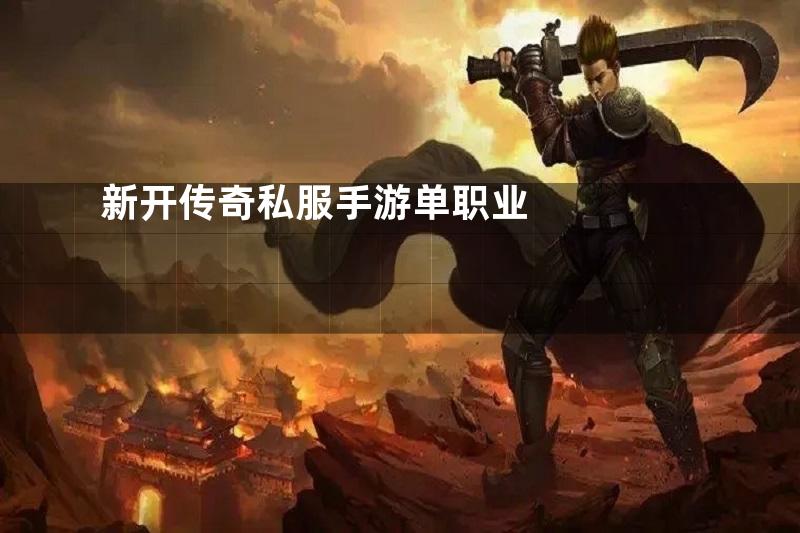新开传奇私服手游单职业