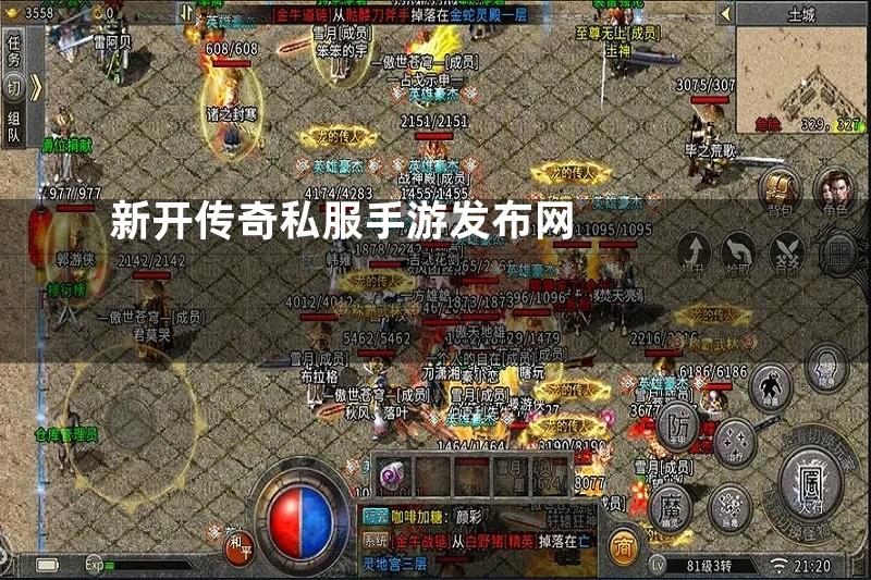 新开传奇私服手游发布网